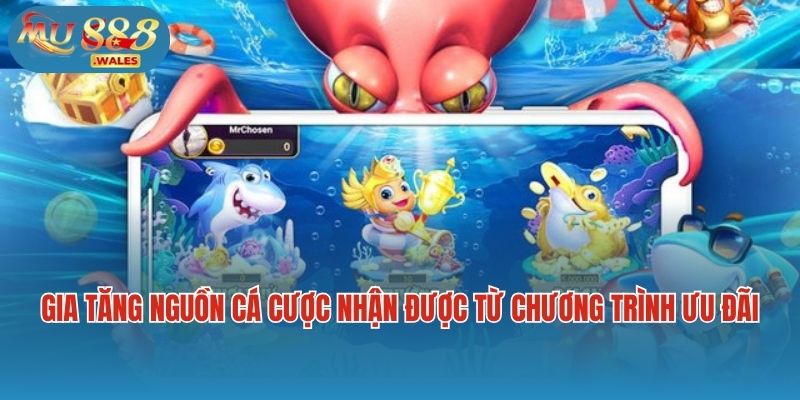 Gia tăng nguồn vốn cá cược nhận được từ chương trình ưu đãi