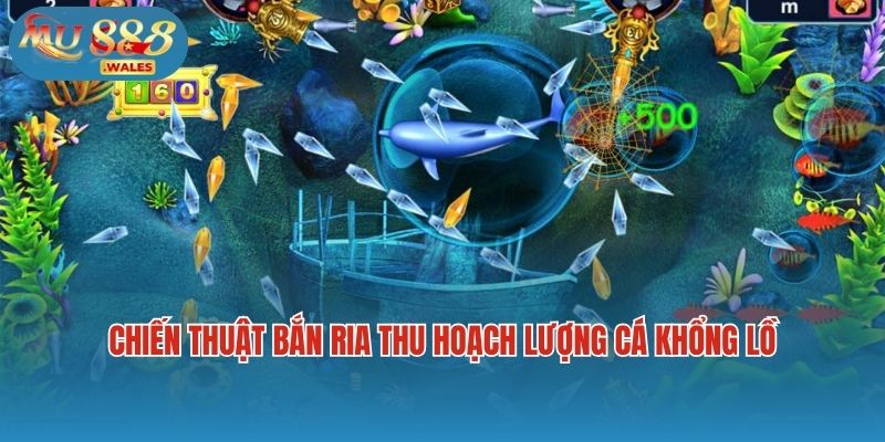 Chiến thuật bắn ria thu hoạch lượng cá khổng lồ