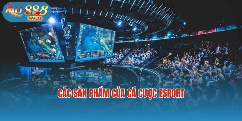 Các sản phẩm của cá cược esport