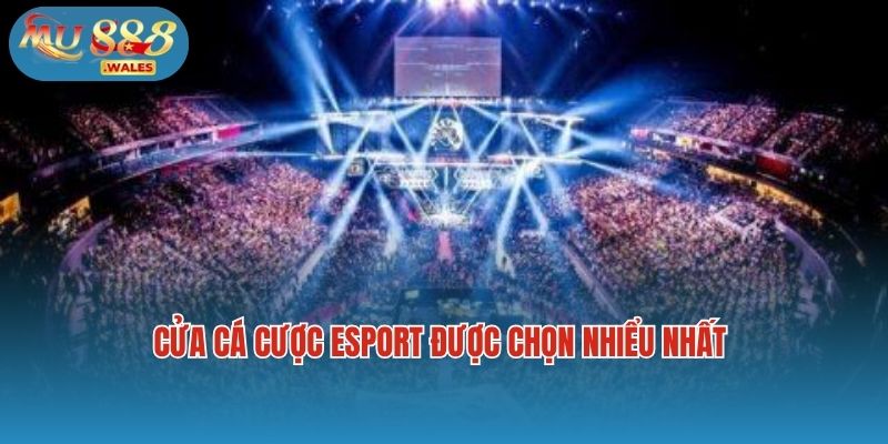 Cửa cá cược esport được chọn nhiểu nhất 