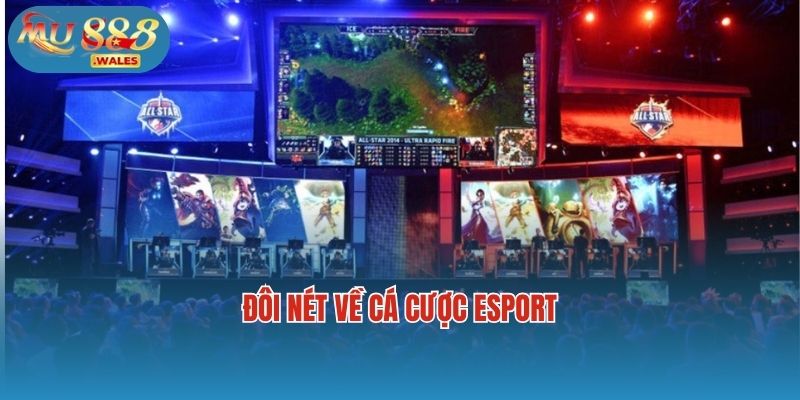 Đôi nét về cá cược esport