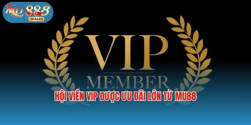 Hội viên VIP được ưu đãi lớn từ Mu88