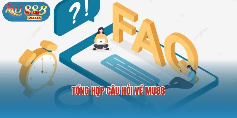 Tổng hợp câu hỏi về Mu88