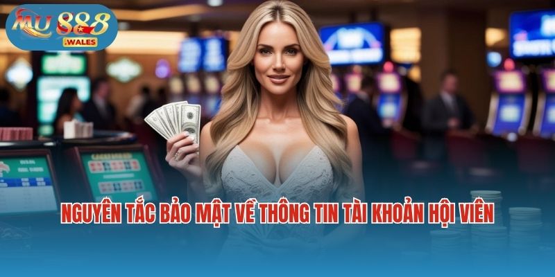 Nguyên tắc trong chính sách bảo mật về thông tin tài khoản hội viên