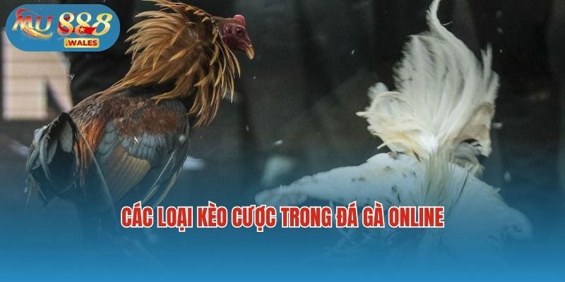 Các loại kèo cược trong đá gà online