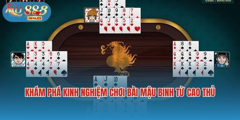 Khám Phá Kinh Nghiệm Chơi Bài Mậu Binh Từ Cao Thủ