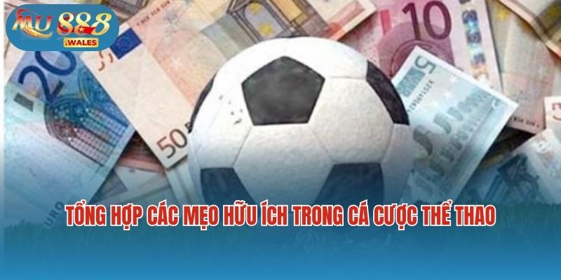 Tổng hợp các mẹo cá cược thể thao