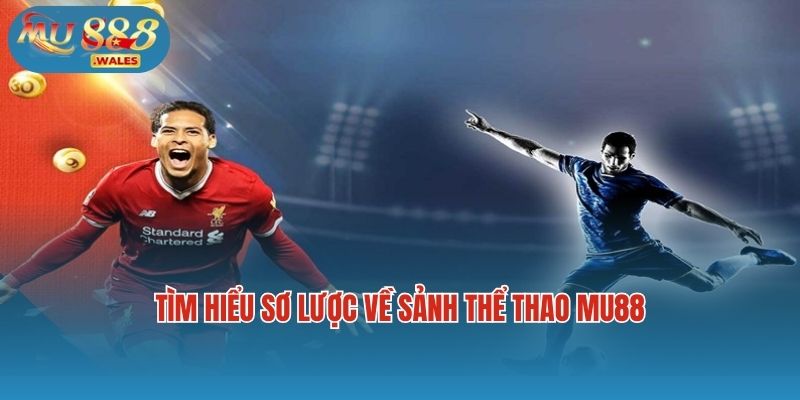 Tìm hiểu sơ lược về sảnh thể thao Mu88