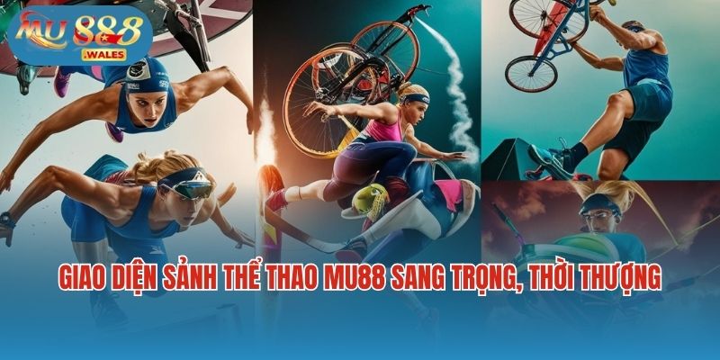 Giao diện sảnh thể thao Mu88 sang trọng, thời thượng