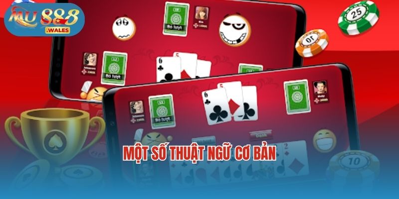 Một số thuật ngữ cơ bản 